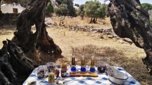 Gallery photo 1 for Half Day Culinary Tour in Naxos. Explore the Island's Olive Oil Routes