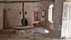 Gallery photo 4 for Half Day Culinary Tour in Naxos. Explore the Island's Olive Oil Routes