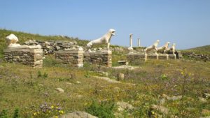 The Lions that served as guardians of Delos, were dedications to the Sanctuary of Apollo (ca 6th c. BC)