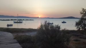 Gallery photo 4 for Short e-Assist Bike Tour in Naxos