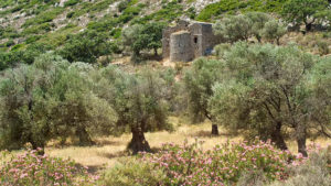 Gallery photo 1 for Looking Back in Time. Hiking Tour in Naxos