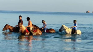 Main photo for Sunrise Riding Tours & Swimming with Horses at Kakapetra in Paros. Beginners & Experienced Riders