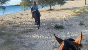 Gallery photo 2 for Sunrise Riding Tours & Swimming with Horses at Kakapetra in Paros. Beginners & Experienced Riders