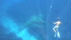 Ανακαλύψτε το ναυάγιο του γερμανικού υδροπλάνου του Β' Π.Π. με τον εξοπλισμό snorkeling που παρέχεται