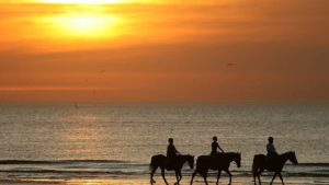 Or choose the evening ride to enjoy the magnificent sunset