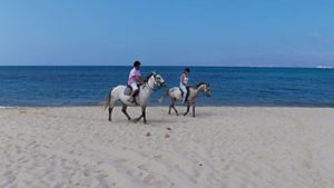 Enjoy your morning ride on the sandy beach of Plaka