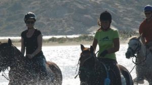 The skilled riders will assist and accompany you throughout the session, providing guidance and support.