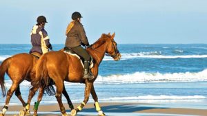 Main photo for Naxos Horse Riding at the Beach of St George in Naxos Town. For Both Beginners & Experienced Riders