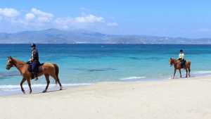 Embark on a horseback adventure that will lead you to the captivating St. George beach.