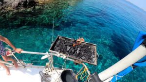 Gallery photo 3 for Sailing Cruise from Antiparos and Pounta to Blue Lagoon, Despotiko, Faneromeni