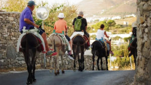 Main photo for Sunset Donkey Riding at Kakapetra in Paros. Beginners & Experienced Riders.