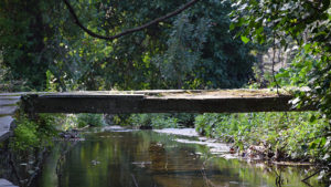 Ένα παλιό γεφυράκι σε ένα τοπίο γεμάτο βλάστηση