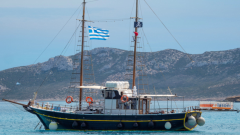 Sailing freely across the wide open sea