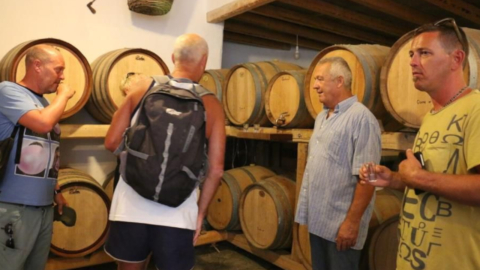 Επισκεφτείτε ένα τοπικό οινοποιείο 