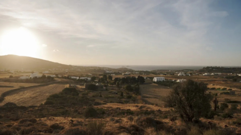 Απολαύστε μια γαλήνια βόλτα στο βουνό μέσα σε ανέγγιχτη φύση