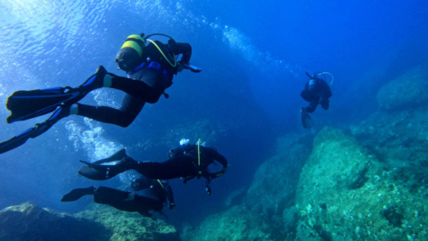 Discover colorful reefs and shipwrecks