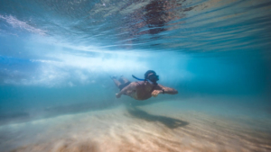 Swim effortlessly while guided safely through a vibrant marine world