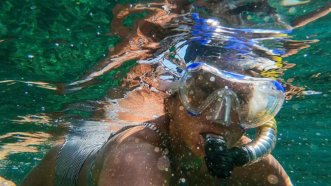 Discover colorful underwater life in calm, crystal-clear waters