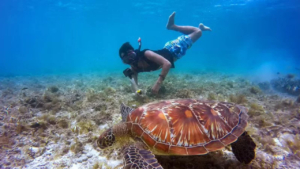 Video for 1-Hour Snorkeling Adventure at Santa Maria Beach, Paros