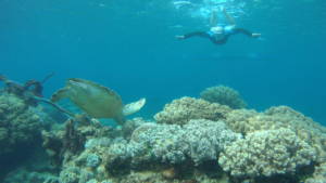 Συνδεθείτε με τη φύση κάνοντας σνόρκελινγκ από την ακτή