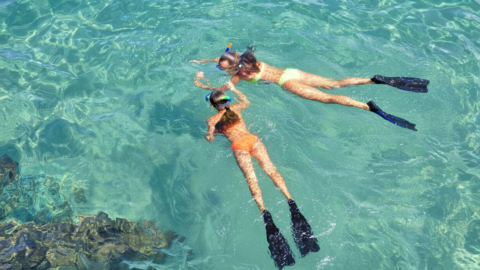 Explore the seabed from the boat under expert instruction
