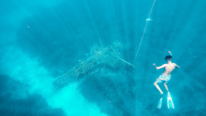 Εξερευνήστε τη θάλασσα κάνοντας σνόρκελινγκ