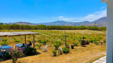Νοιώστε τη γνήσια Κυκλαδίτικη φιλοξενία 