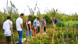 Βιολογικό κρασί και αυθεντική φιλοξενία σε ένα σημείο