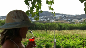 Βίντεο για Ιδιωτική Περιήγηση σε Αμπελώνα και Αγρόκτημα στη Μύκονο