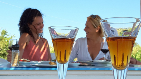 Enjoy organic wines and genuine hospitality