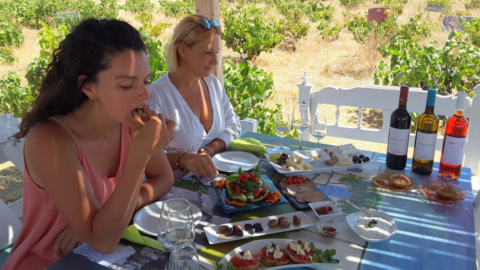 Llive a wine tasting and farm-to-table experience