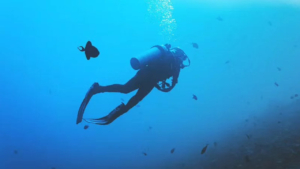 Discover Scuba Diving at Santa Maria Beach, Paros. A 2-Hour Adventure photo