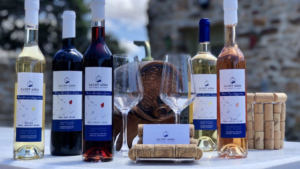 White, rose and red wine varieties