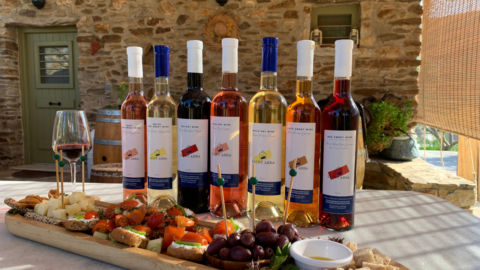 Different wine labels available for tasting