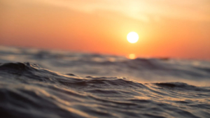 End the day with beauty, flavor and timeless views