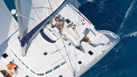 Blue waters and white sails merge in perfect harmony