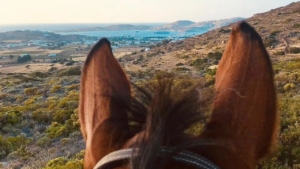 Ακολουθήστε γραφικά μονοπάτια με θέα που κόβει την ανάσα