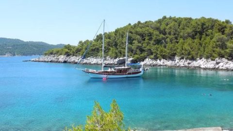 Green blue waters