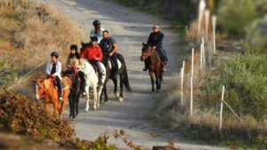 Main photo for Santorini Short Horse Riding Tour For Beginners