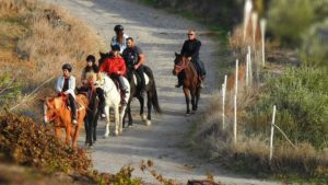Gallery photo 4 for Santorini Horse Riding Tour for both Beginners and Experienced Riders