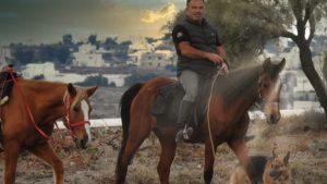 Gallery photo 5 for Santorini Horse Riding Tour for both Beginners and Experienced Riders