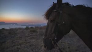Gallery photo 9 for Santorini Horse Riding Tour (Dinner Included)