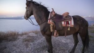 Gallery photo 10 for Santorini Horse Riding Tour (Dinner Included)