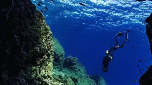 Main photo for 3-Hour Free Diving Experience on Schinoussa