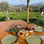 Naxos Food Tours