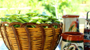 Pick up fresh vegetables from the garden