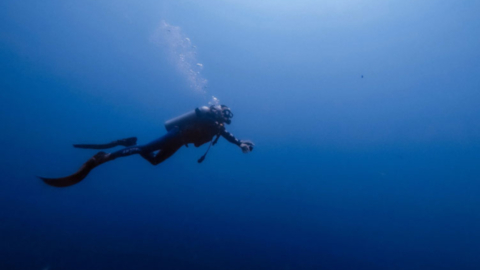 Train at a certified PADI scuba diving center in Naxos town
