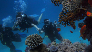 Naxos Diving Experience – Become a Certified PADI Open Water Diver photo