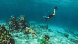 Naxos Rescue Diver Course – Build Your Confidence and Save Lives Underwater photo