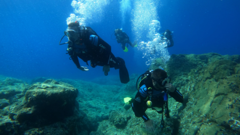 Discover the amazing sea life 